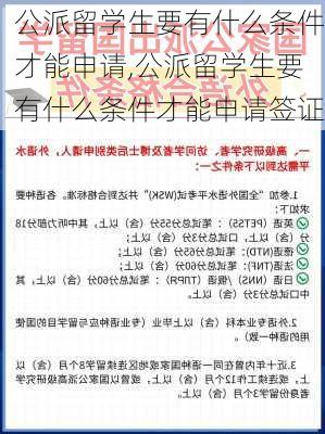 公派留学生要有什么条件才能申请,公派留学生要有什么条件才能申请签证