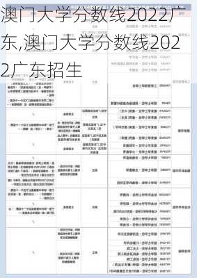 澳门大学分数线2022广东,澳门大学分数线2022广东招生