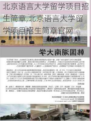 北京语言大学留学项目招生简章,北京语言大学留学项目招生简章官网