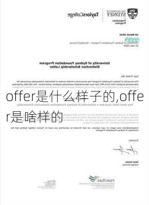 offer是什么样子的,offer是啥样的