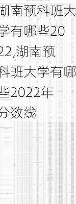 湖南预科班大学有哪些2022,湖南预科班大学有哪些2022年分数线