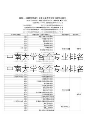 中南大学各个专业排名,中南大学各个专业排名