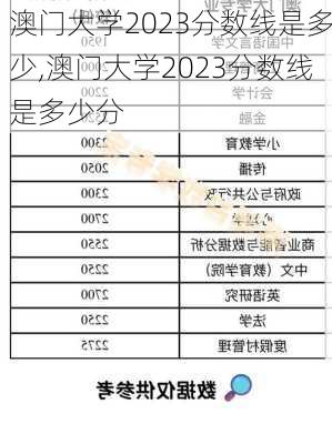 澳门大学2023分数线是多少,澳门大学2023分数线是多少分