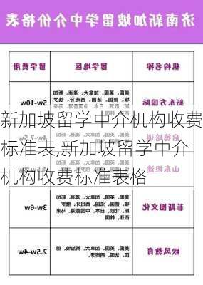 新加坡留学中介机构收费标准表,新加坡留学中介机构收费标准表格