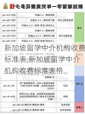 新加坡留学中介机构收费标准表,新加坡留学中介机构收费标准表格