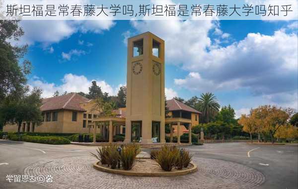 斯坦福是常春藤大学吗,斯坦福是常春藤大学吗知乎