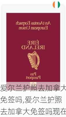 爱尔兰护照去加拿大免签吗,爱尔兰护照去加拿大免签吗现在