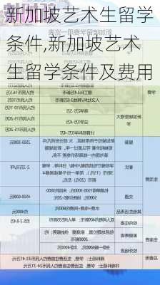 新加坡艺术生留学条件,新加坡艺术生留学条件及费用