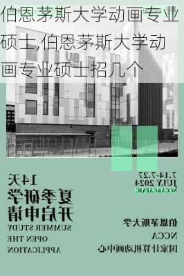 伯恩茅斯大学动画专业硕士,伯恩茅斯大学动画专业硕士招几个