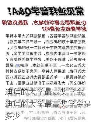 迪拜的大学最高奖学金,迪拜的大学最高奖学金是多少