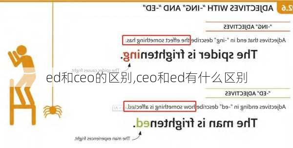 ed和ceo的区别,ceo和ed有什么区别
