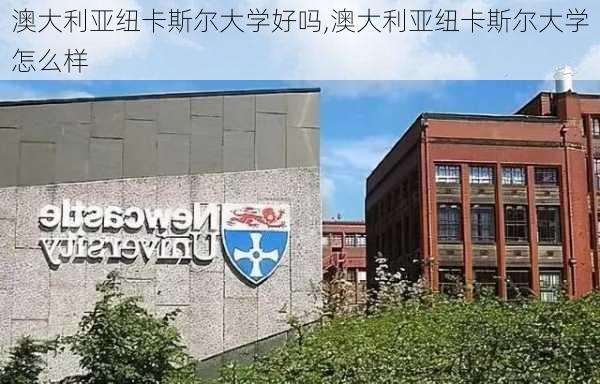 澳大利亚纽卡斯尔大学好吗,澳大利亚纽卡斯尔大学怎么样