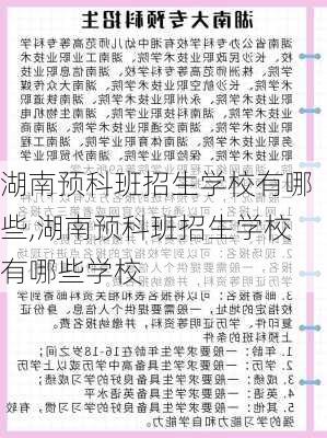 湖南预科班招生学校有哪些,湖南预科班招生学校有哪些学校