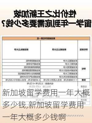 新加坡留学费用一年大概多少钱,新加坡留学费用一年大概多少钱啊