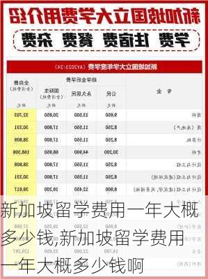 新加坡留学费用一年大概多少钱,新加坡留学费用一年大概多少钱啊