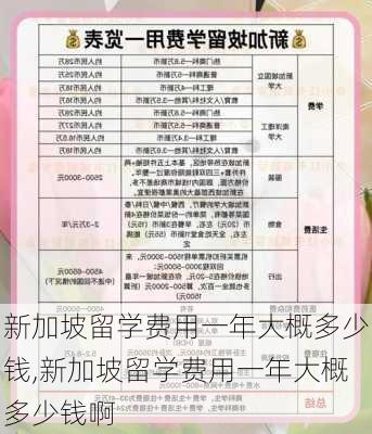 新加坡留学费用一年大概多少钱,新加坡留学费用一年大概多少钱啊