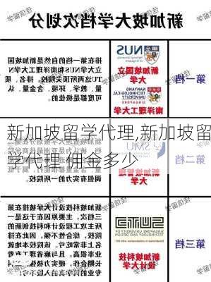 新加坡留学代理,新加坡留学代理 佣金多少