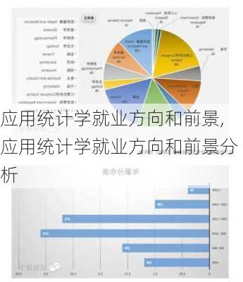 应用统计学就业方向和前景,应用统计学就业方向和前景分析