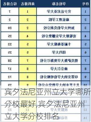 宾夕法尼亚州立大学哪所分校最好,宾夕法尼亚州立大学分校排名