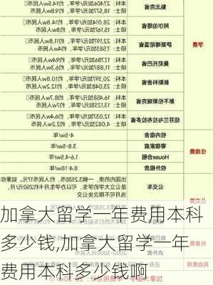 加拿大留学一年费用本科多少钱,加拿大留学一年费用本科多少钱啊