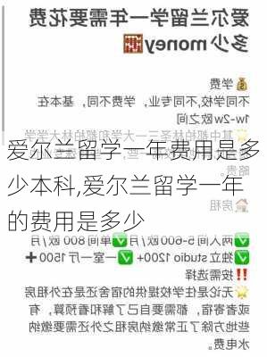 爱尔兰留学一年费用是多少本科,爱尔兰留学一年的费用是多少