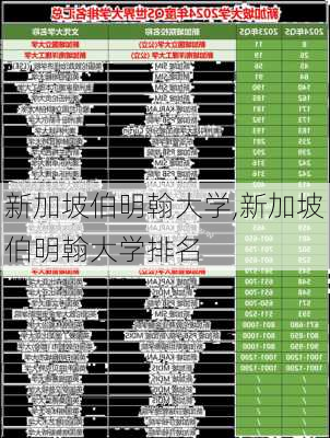 新加坡伯明翰大学,新加坡伯明翰大学排名