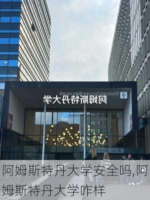 阿姆斯特丹大学安全吗,阿姆斯特丹大学咋样