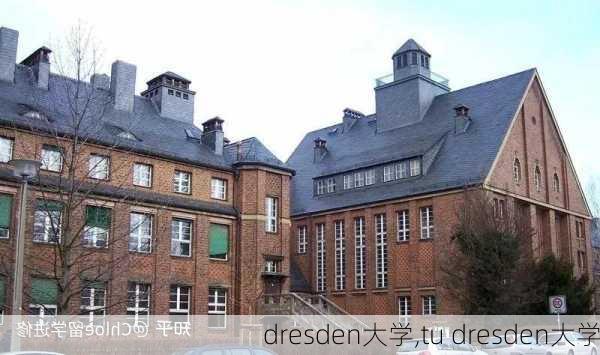 dresden大学,tu dresden大学