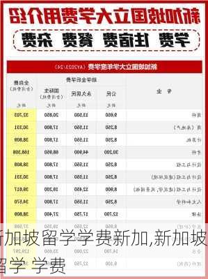 新加坡留学学费新加,新加坡 留学 学费