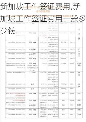 新加坡工作签证费用,新加坡工作签证费用一般多少钱