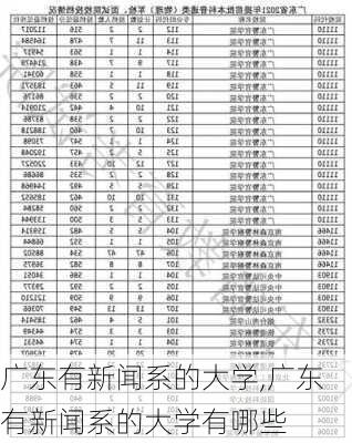 广东有新闻系的大学,广东有新闻系的大学有哪些