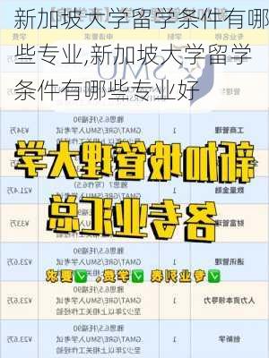 新加坡大学留学条件有哪些专业,新加坡大学留学条件有哪些专业好