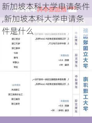 新加坡本科大学申请条件,新加坡本科大学申请条件是什么