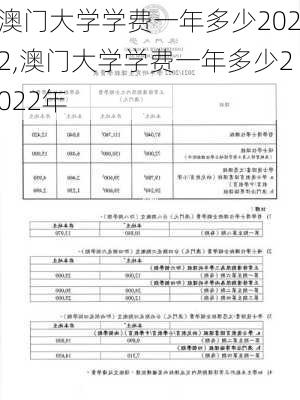 澳门大学学费一年多少2022,澳门大学学费一年多少2022年