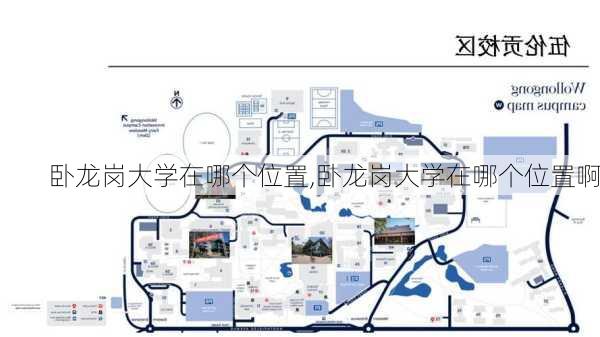 卧龙岗大学在哪个位置,卧龙岗大学在哪个位置啊