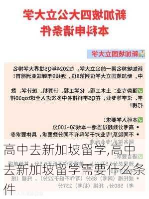 高中去新加坡留学,高中去新加坡留学需要什么条件