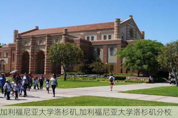 加利福尼亚大学洛杉矶,加利福尼亚大学洛杉矶分校