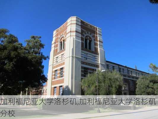 加利福尼亚大学洛杉矶,加利福尼亚大学洛杉矶分校