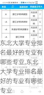 东北大学专业排名最好的专业有哪些专业,东北大学专业排名最好的专业有哪些专业