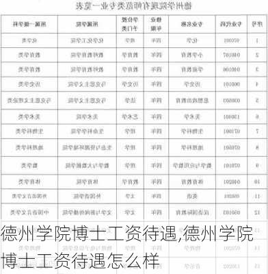 德州学院博士工资待遇,德州学院博士工资待遇怎么样