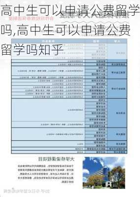 高中生可以申请公费留学吗,高中生可以申请公费留学吗知乎