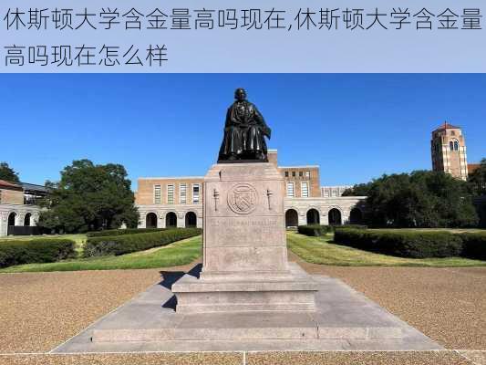 休斯顿大学含金量高吗现在,休斯顿大学含金量高吗现在怎么样