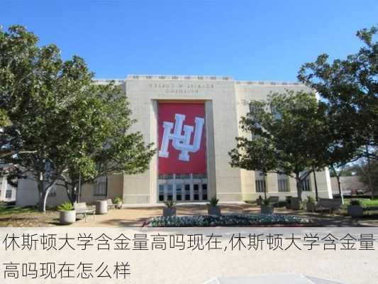 休斯顿大学含金量高吗现在,休斯顿大学含金量高吗现在怎么样