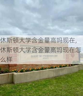 休斯顿大学含金量高吗现在,休斯顿大学含金量高吗现在怎么样