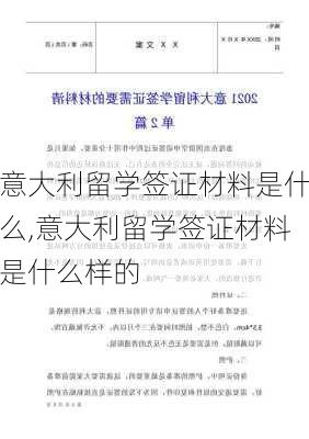 意大利留学签证材料是什么,意大利留学签证材料是什么样的