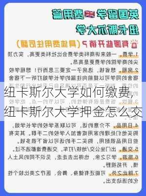 纽卡斯尔大学如何缴费,纽卡斯尔大学押金怎么交