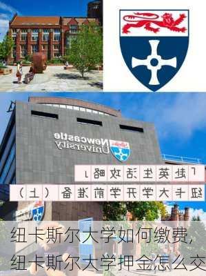 纽卡斯尔大学如何缴费,纽卡斯尔大学押金怎么交