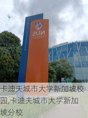 卡迪夫城市大学新加坡校园,卡迪夫城市大学新加坡分校