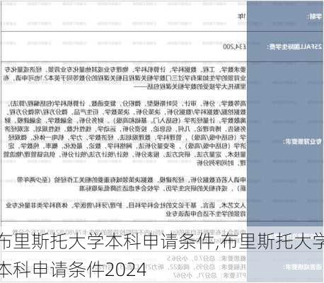 布里斯托大学本科申请条件,布里斯托大学本科申请条件2024