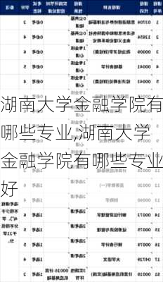 湖南大学金融学院有哪些专业,湖南大学金融学院有哪些专业好